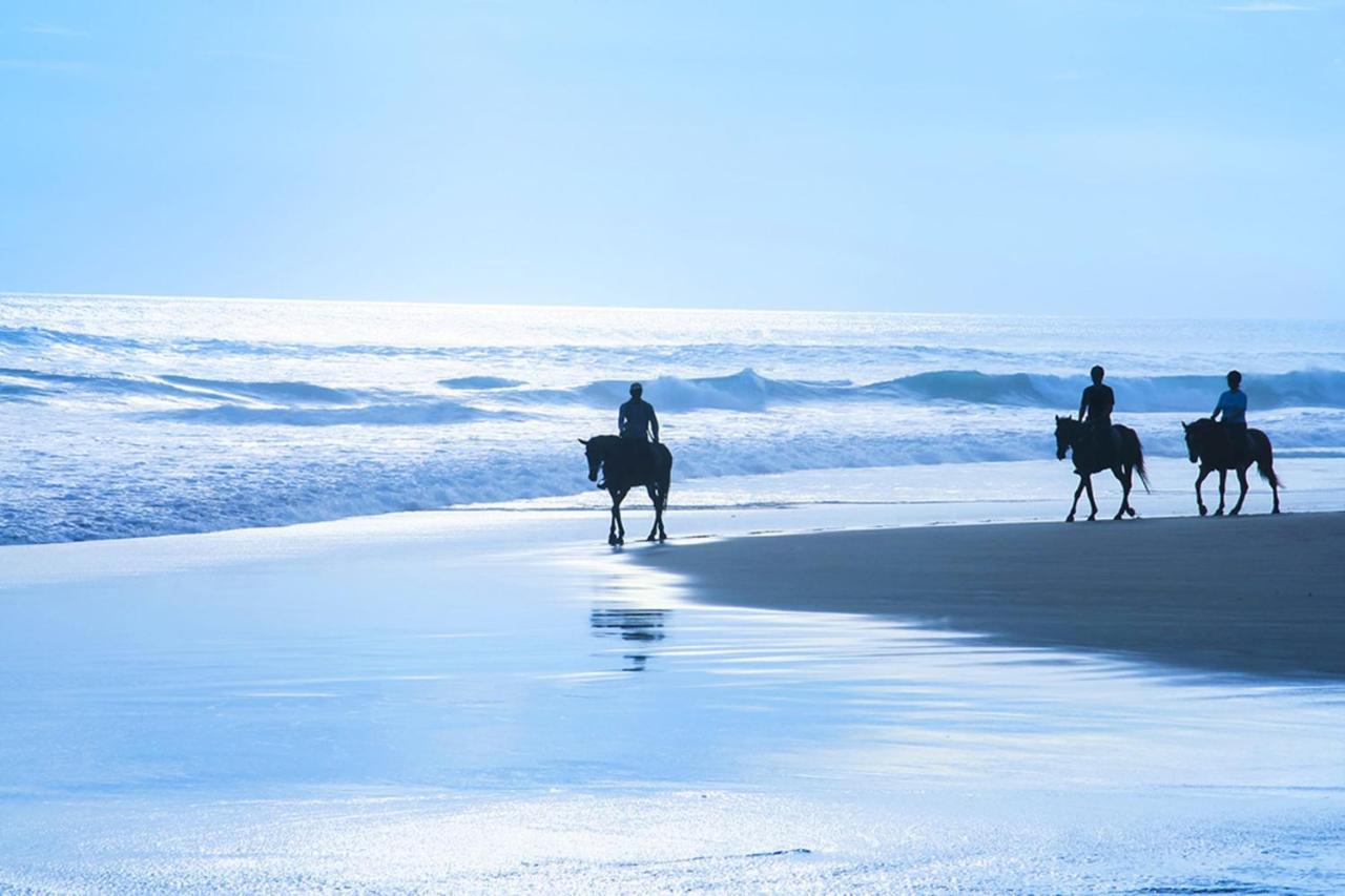Stunning Oceanview Coastal Home Beach Trails Family Activities 몬타라 외부 사진